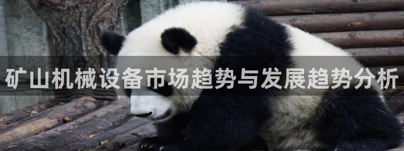 鸿运直播平台游戏