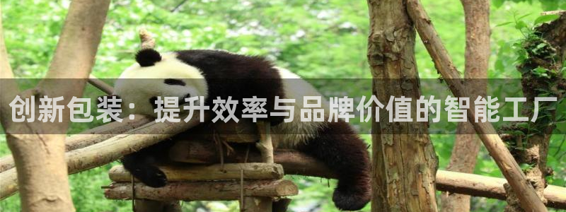 鸿运合拍是什么平台