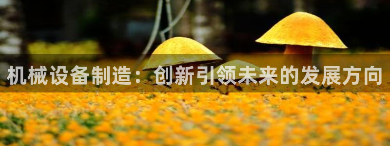 鸿运画室平台介绍