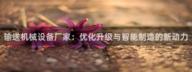 鸿运茶销售平台