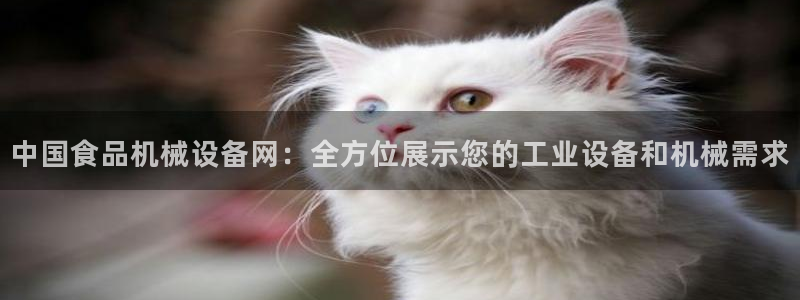 鸿运国际游戏平台