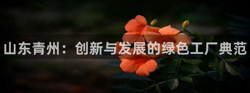 鸿运彩票平台官网