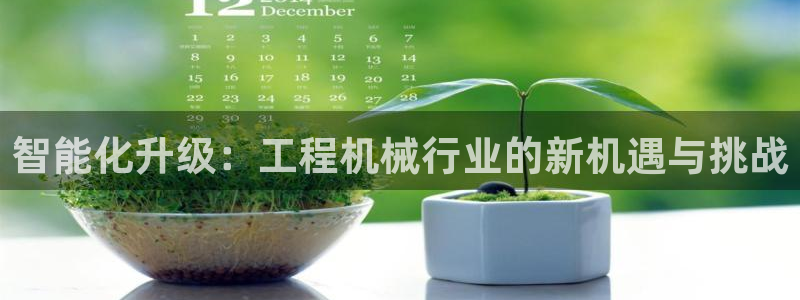 鸿运当头贷款平台