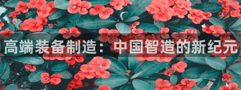 鸿运彩票平台登录