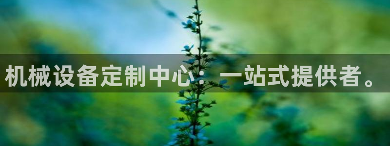 鸿运平台投资诈骗