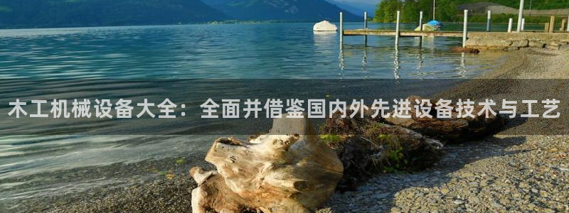 鸿运小说阅读平台