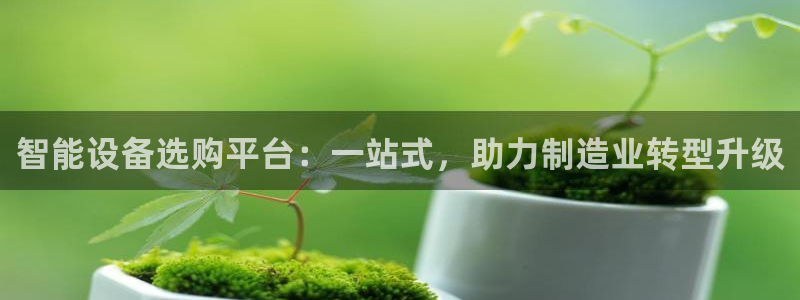 鸿运来是什么平台