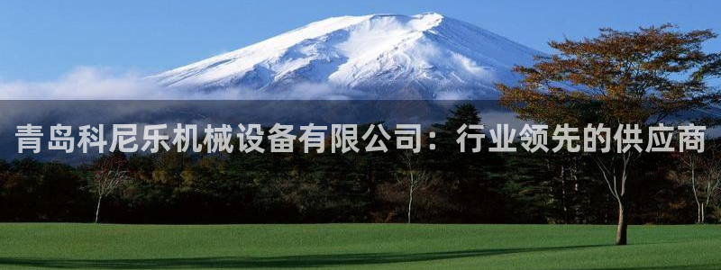 鸿运食品团购平台